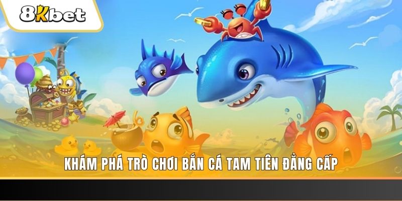 55win55 thị trường baccarat là gì