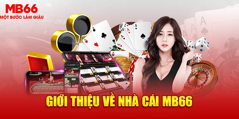 55win55 EVO Trực Tuyến