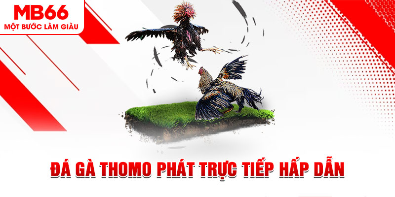 55win55 dự đoán xổ số miền trung