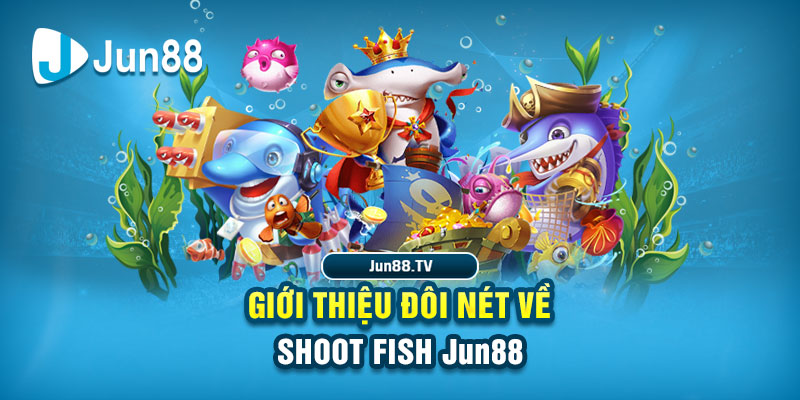 55win55 đá gà