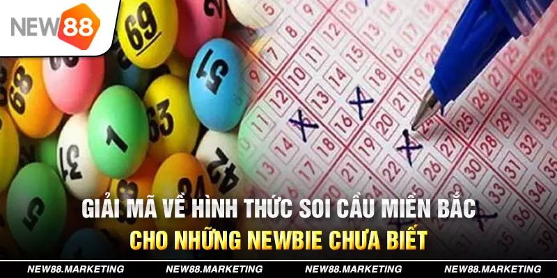 55win55 xổ số tây ninh