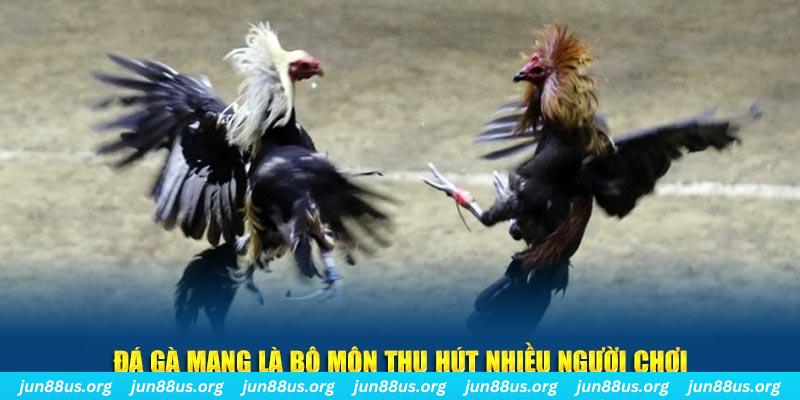 55win55 bắn cá au88