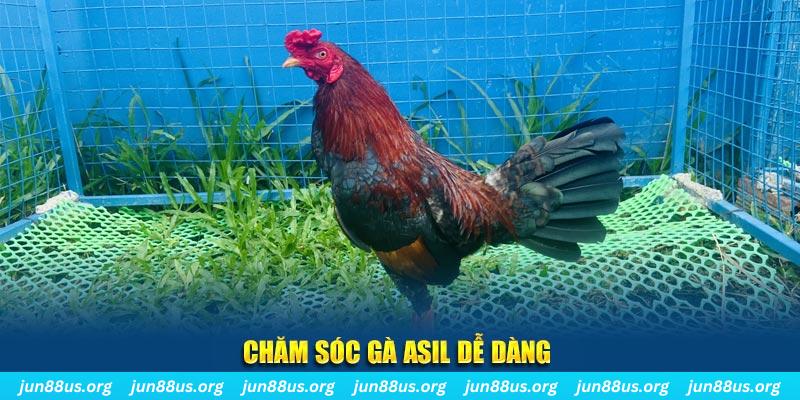 55win55 game bài là gì