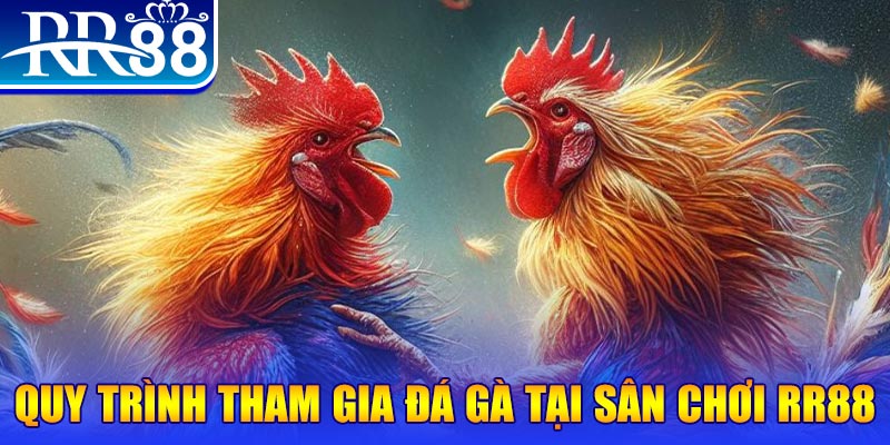 55win55 đá gà cam 67