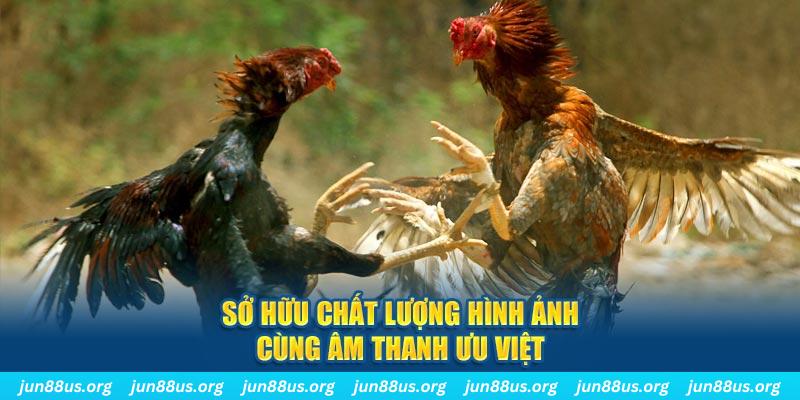 55win55 PP Điện Tử