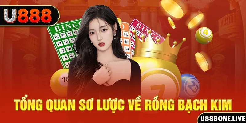 55win55 hũ 8 bit nổ như thế nào