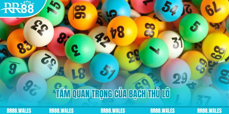 55win55 xổ số an giang