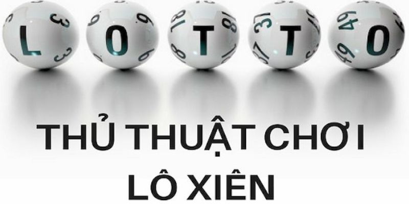 55win55 trực tiếp đá gà thomo