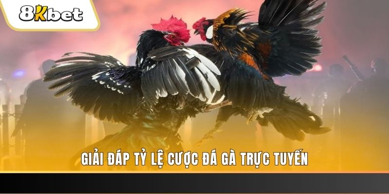 55win55 xổ số đài miền trung