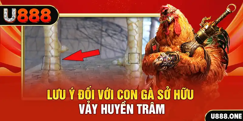 55win55 kết quả xổ số miền nam hôm nay