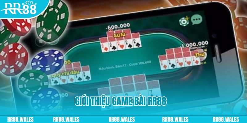 55win55 đá gà hôm nay