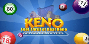 55win55 gà chọi c1 thomo