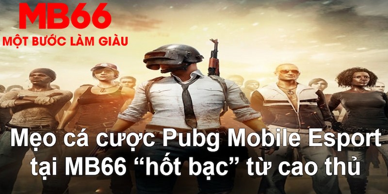 55win55 VA Bắn cá