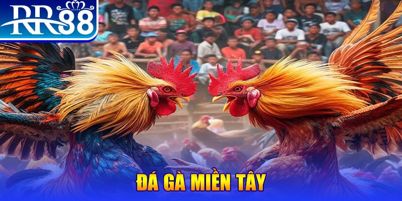 55win55 no hu doi thuong ai