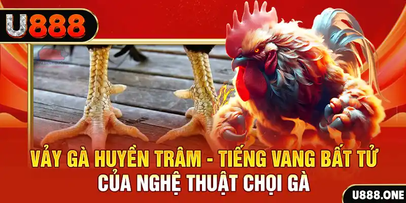 55win55 xổ số miền bắc ngày hôm nay