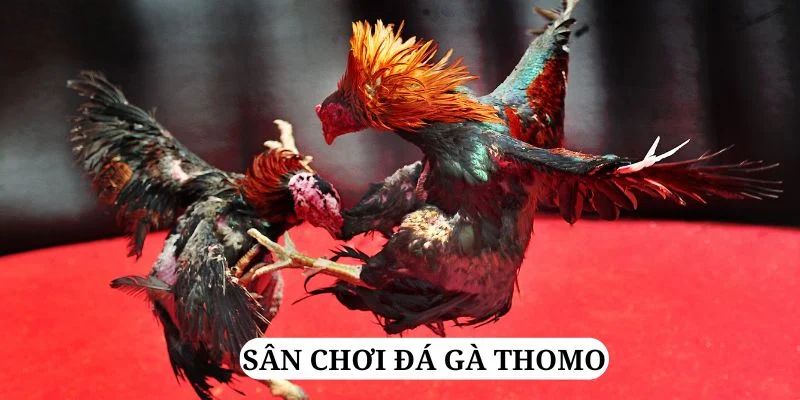 55win55 trực tiếp xổ số miền bắc